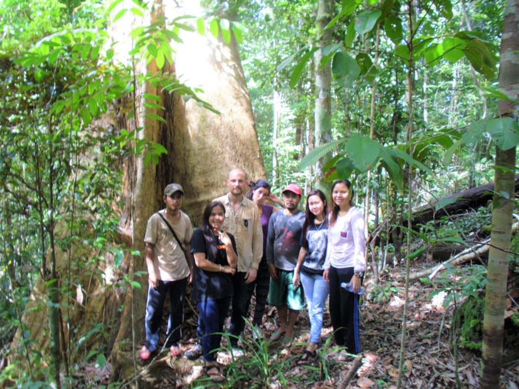Tropical rainforest in Kalimantan